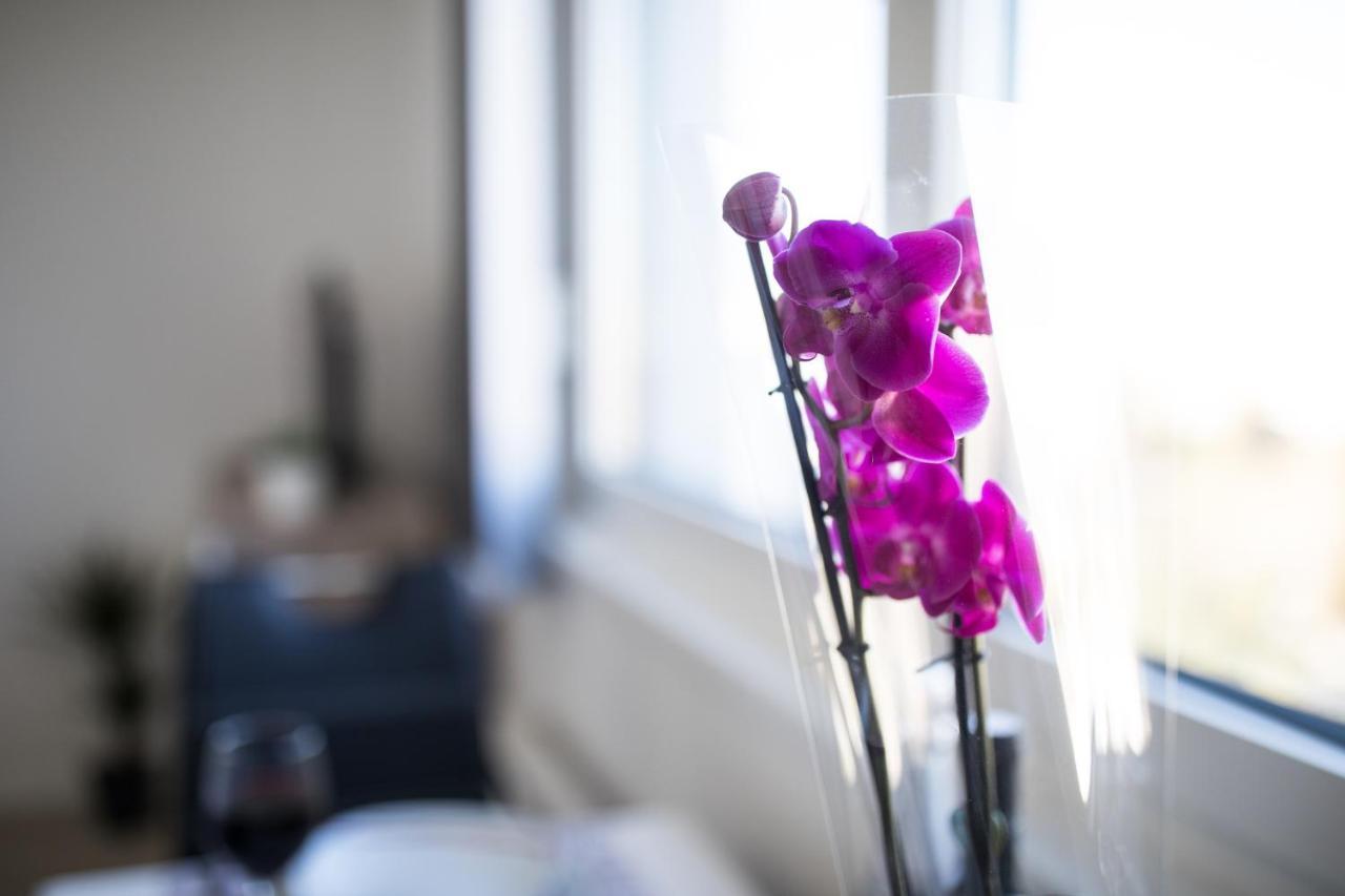 Studio Apartman Moonlight Zadar Extérieur photo